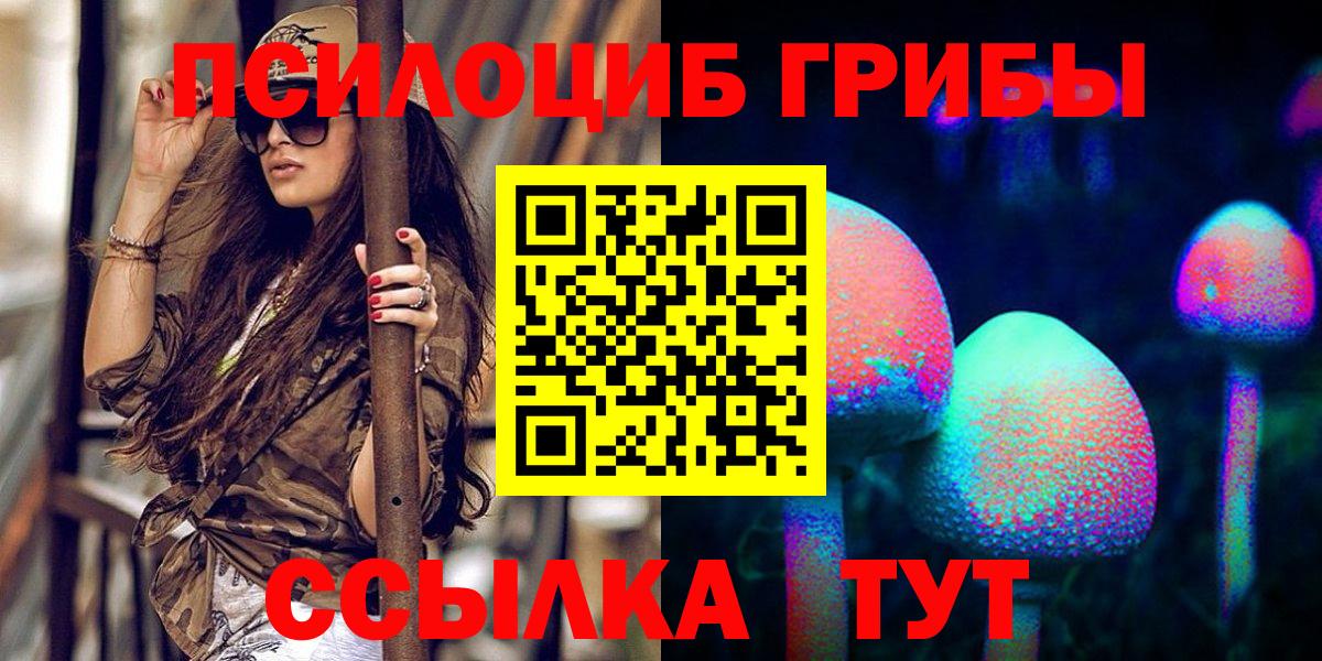 Галлюциногенные грибы мицелий  Псилоцибиновые грибы мицелий  Жигулёвск  Вход с VPN 